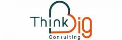 thinkbig-consulting