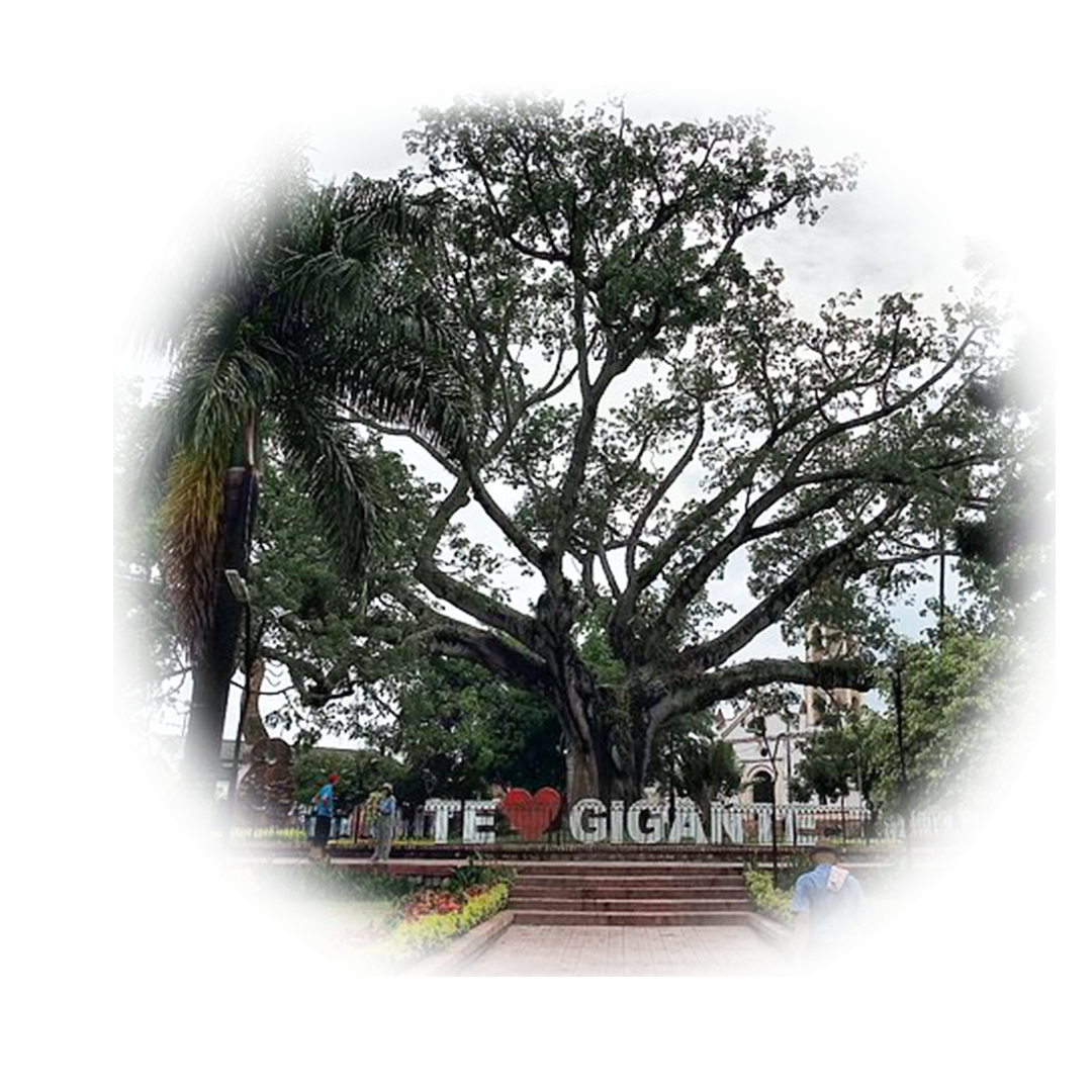 GIGANTE